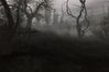 S.T.A.L.K.E.R: Shadow of Chernobyl