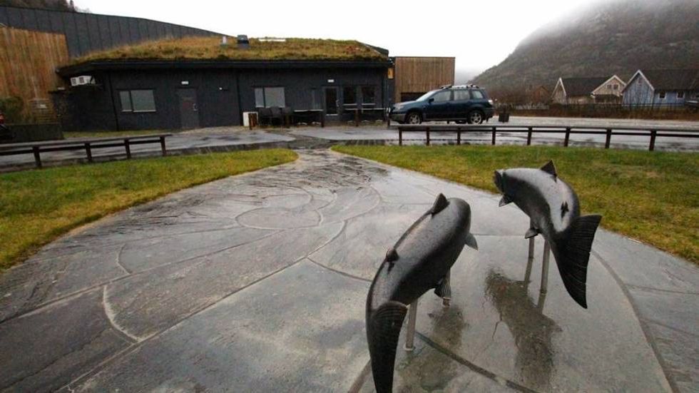 REALISERT: Stiftinga Nasjonalt Villakssenter er realisert. Stiftinga er eit samarbeid mellom dei fire vertskommunane Tana, Namsos, Lærdal og Lyngdal.