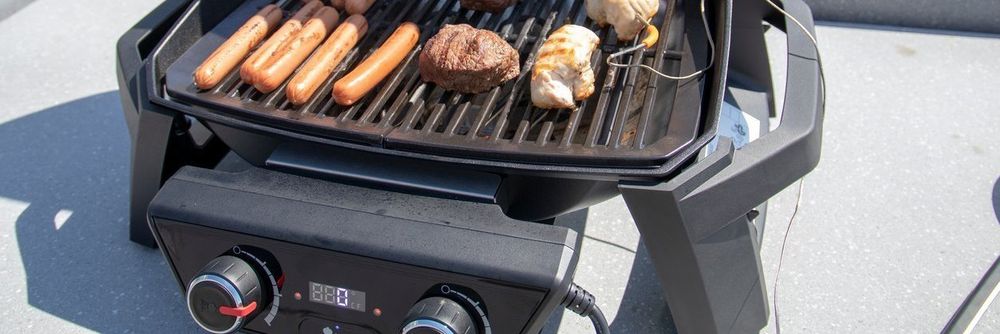 Weber Pulse 2000