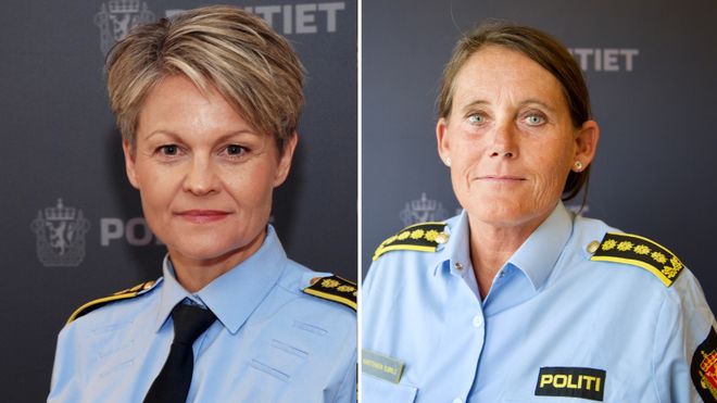 Den etablerte sannhet om politireformen?