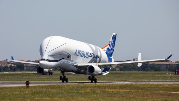 Den flyvende hvalen