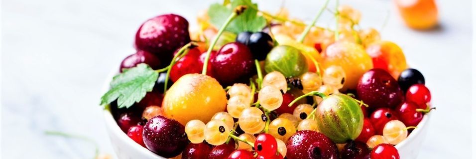 Lag din egen saft av hagens eller naturens godsaker