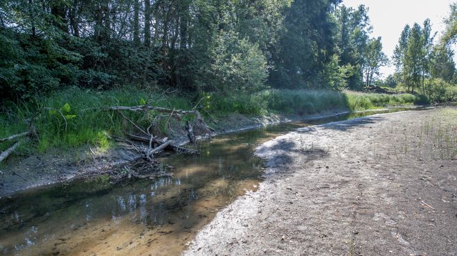 Det er lite vann i Loeselva som går mellom Hokksund og Steinberg i Buskerud etter sommerens mangel på nedbør, i likhet med mange småelver på Østlandet.