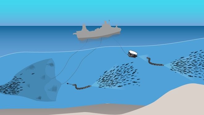 I fremtiden skal fiskebåtene kun fange de fiskene som er bestilt