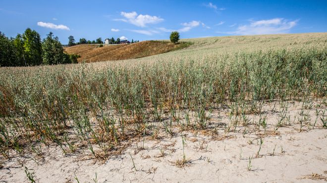 Fire av ti spurte på bygda tror ikke klimaendringene er menneskeskapte