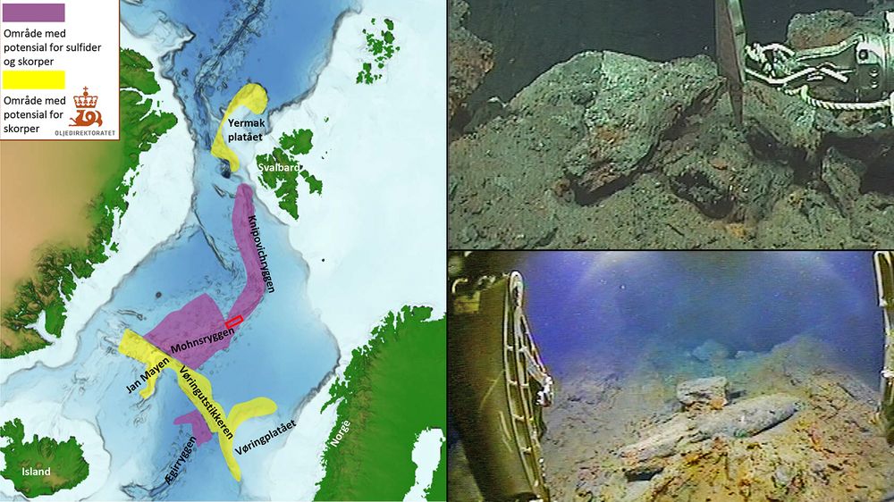 Oljedirektoratet har funnet et stort område med sulfidmineralerpå havbunnen, som ikke er kjent fra tidligere. Håpet er at det inneholder verdifulle metaller som på sikt kan utvinnes.