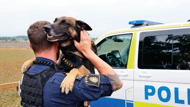 Overbevist om at hunden kom til å dø