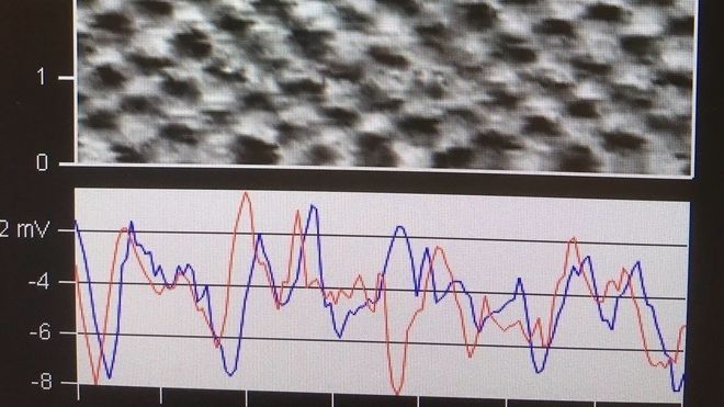 Nå kommer delene som kan gjøre at elektronikken knapt bruker strøm