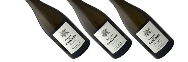 Om du ikke får nok av Jura-vin, er dette ditt neste prosjekt