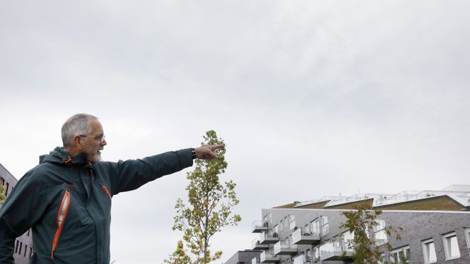 Grønne tak er på fremmarsj i byene