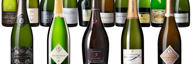 Dette er de 15 aller beste champagnekjøpene som fortsatt er å få tak i - og i polhyllene i dag