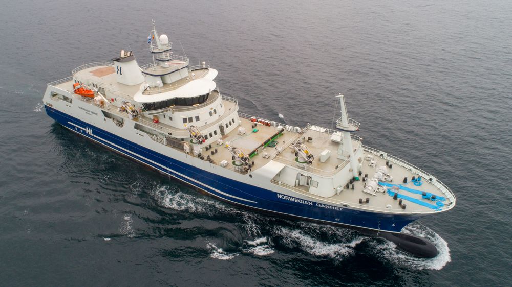Norwegian Gannet, Hav Lines slakteskip for laks og ørret, kan måtte halvere kapasiteten om ikke rederiets klage fører fram.