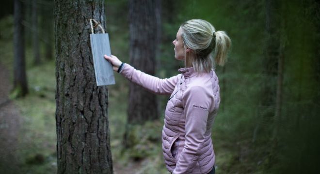 Helsefordeler med trepanel