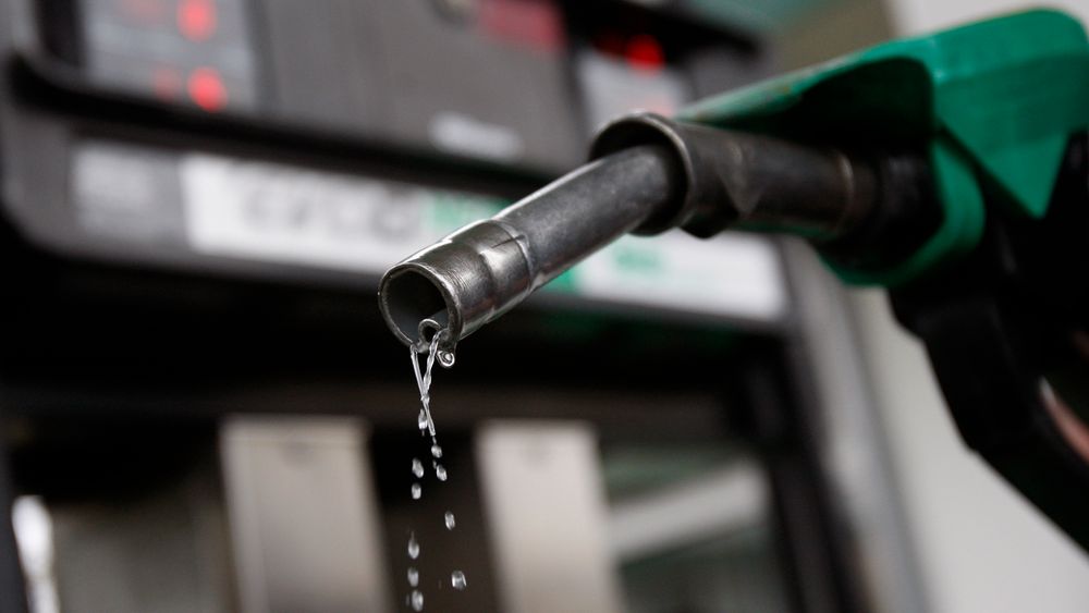Uno-X vil ha full åpenhet om hva slags råstoff bensinstasjonkjedene bruker i sitt biodrivstoff. Esso svarer med å kutte ut palmeolje.