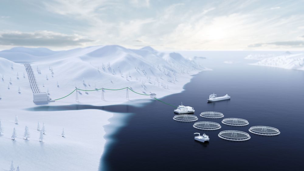Dette blir siste gang Enova gir støtte til landstrøm for oppdrettsanlegg. I år endrer de også hele systemet for støtte til energi- og miljøtiltak.