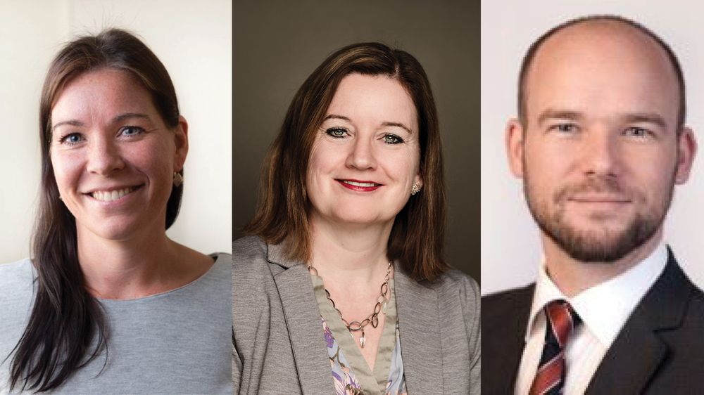 Christine Meling Christensen i IndustriEnergi, Kirkhusmo i Språkrådet og Marius Bakke i Kulturdepartementet er blant søkerne på lista.