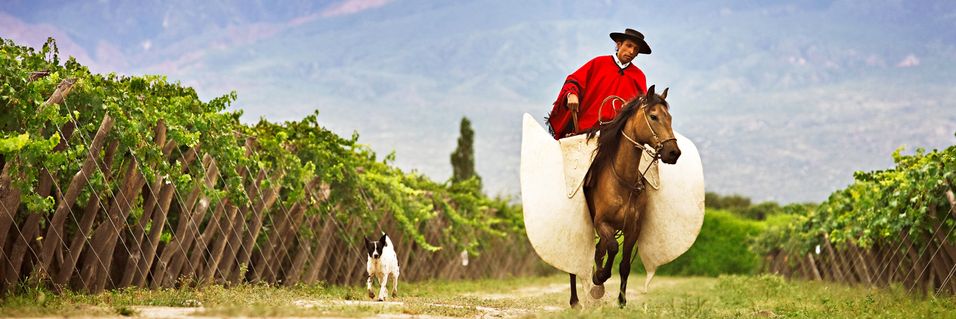 Bli kjent med Argentinas viner: 16 unike viner signert unge og nyskapende produsenter