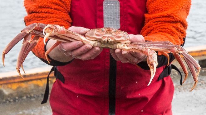 Høyesterett gir Norge medhold: Latvisk fartøy får ikke fiske snøkrabbe ved Svalbard