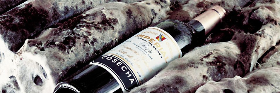 Det er en god grunn til at disse Rioja-vinene er så populære i Norge: De smaker fantastisk godt. Det kan du også oppleve