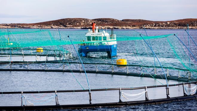 Motstanden mot ny «lakseskatt» vokser i regjeringen