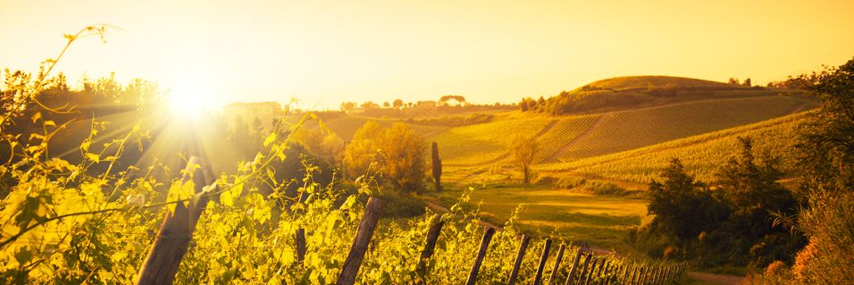 Lurer du på hvorfor Brunello di Montalcino er så ettertraktet? Det får du smake på denne kvelden - samt mye annet