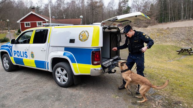 Her er svensk politis nye spesialbygde hundebil