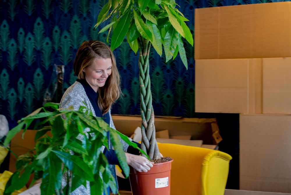 Eivor Jerpåsen, Anne Charlotte Schjøll og Marie Olaussen i Tønsbergs Blad lager «ellevill» lounge og idérom til de ansatte. Håper er at ideen til neste SKUP-diplom skal dukke opp under en pingpong-kamp eller over Air Hockey-bordet.