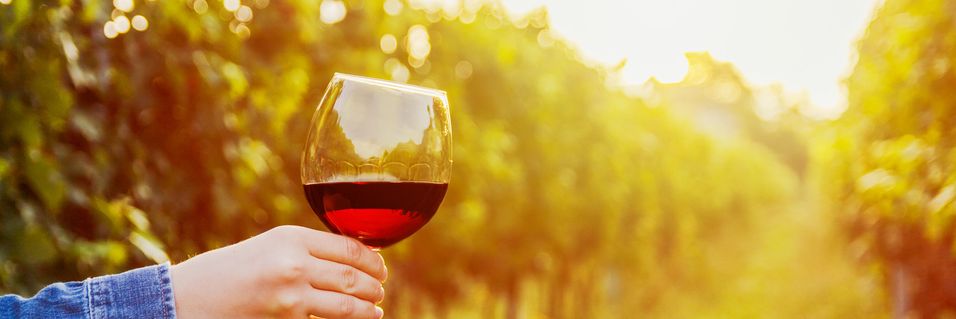 Lær om Italias viner av Master of Wine, Mai Tjemsland