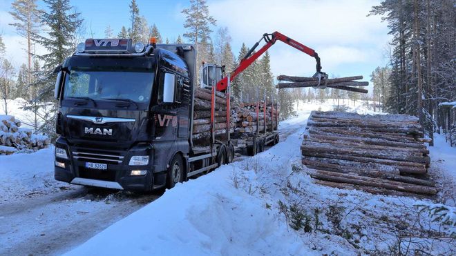 Økonomisk tømmertransport