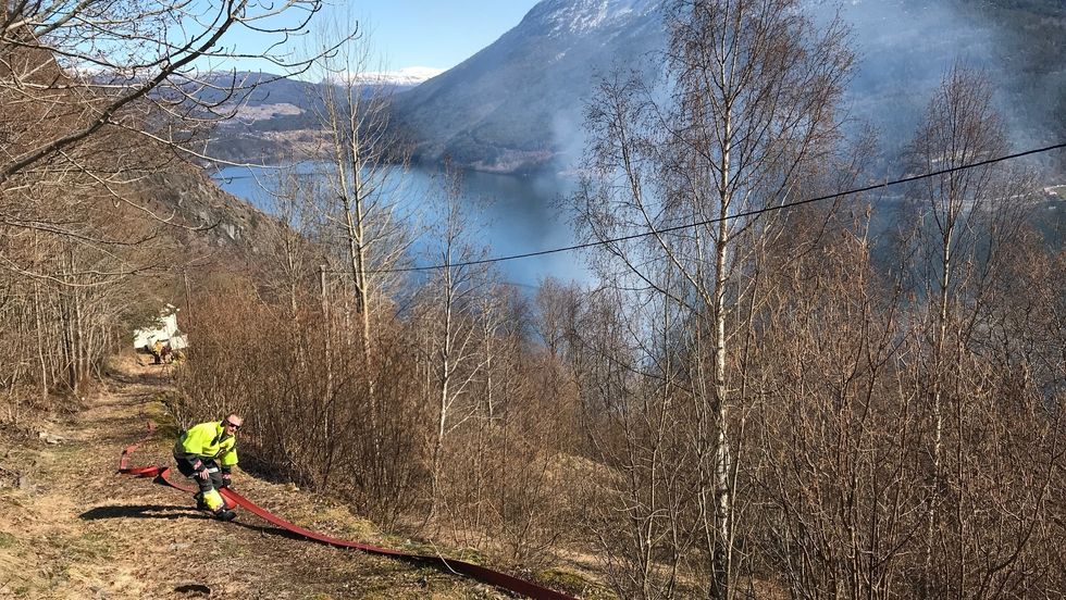 KNUSKTØRT: Det er tørt fleire stader i Indre Sogn, noko som medfører høg skogbrannfare. Den 15. april byrja det å brenna i terrenget utanfor Sogndal.