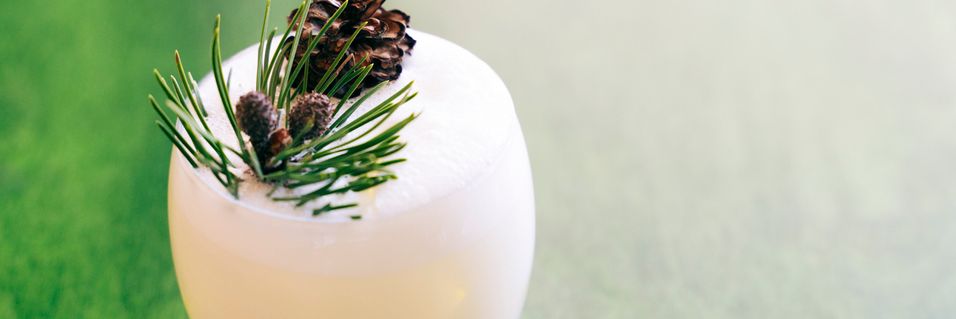 Lag en drink som smaker himmelsk av vårlig skog