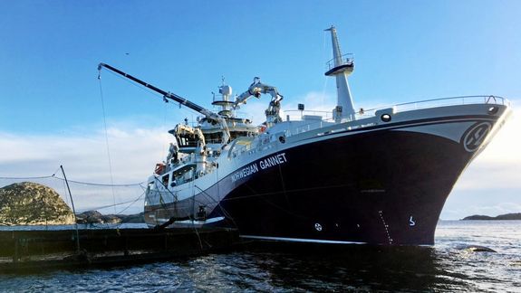 Norwegian Gannet har fått dispensasjon