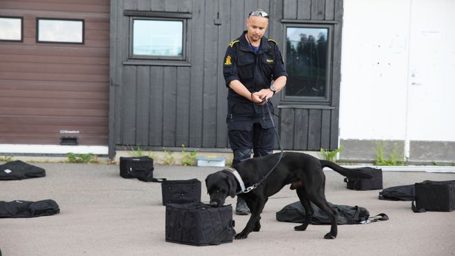 Sverige vant politihund-mesterskapet på Holmenkollen