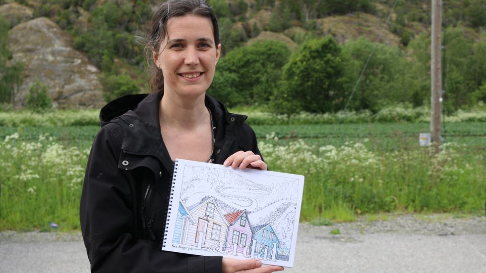 BOKA: På forsida kan ein sjå Vindhellavegen og Gamle Lærdalsøyri.