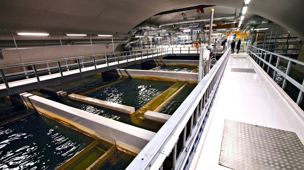 De siste årene har det blitt flere innbyggere i Norge som har fått registrert E. coli-bakterie i drikkevannet, ifølge tallene fra Statistisk sentralbyrå. Illustrasjonsbilde fra Oset vannrenseanlegg i Oslo.