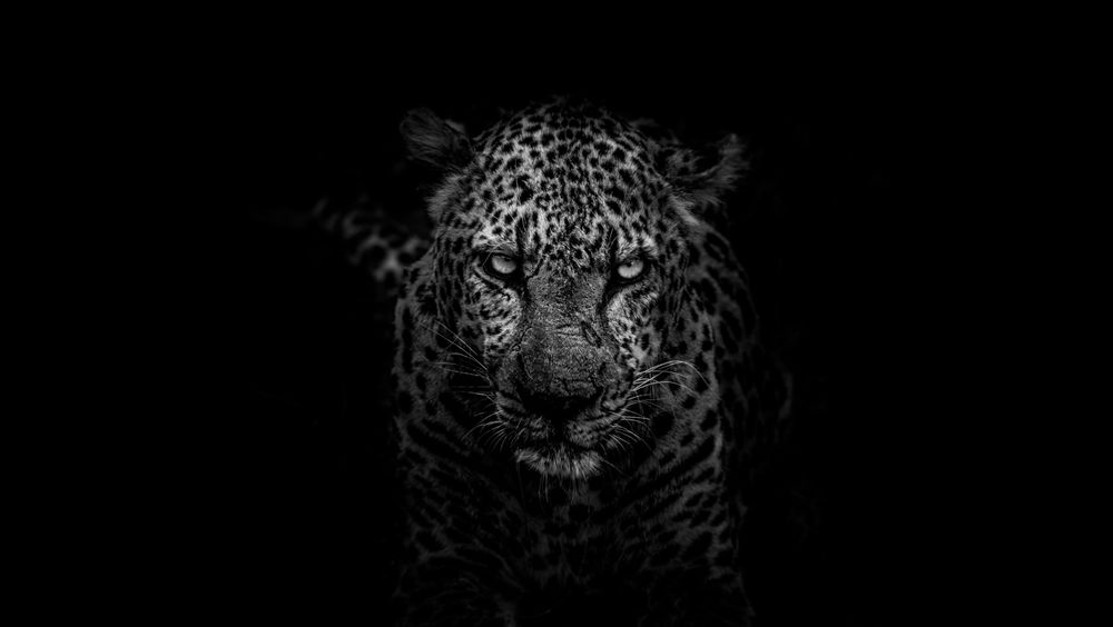 Er en jaguar en bil eller et rovdyr? For å forstå ordet «jaguar» i en tekst, må konteksten analyseres. Jo større tekst som analyseres, desto mere nøyaktig vil forståelsen være, siden algoritmen har mer kontekst å forholde seg til. Hvis teksten inneholder kontekst i form av ord som byttedyr, jungel, flekker, hjørnetenner, jaktmønster og lignende, vil algoritmen kunne vurdere at teksten dreier seg om en stor katt.