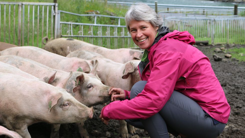 LEV GODT: Grisebonden Kristine Ohnstad er ofte borte til grisane for å sjekke at dei har det bra.