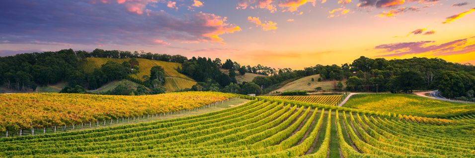 Enestående smaking av viner fra Australias beste produsenter