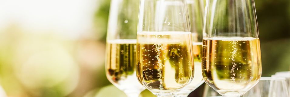 Smak lekre champagner fra et meget spennende vinhus