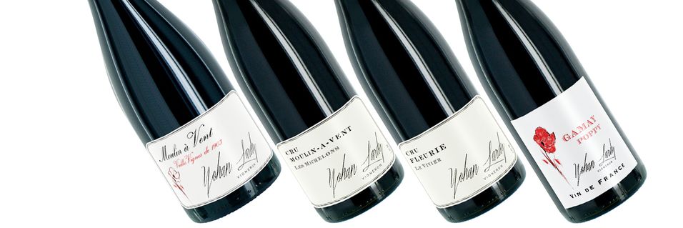 2018-beaujolaisene ble så gode som forventet - og det betyr virkelig herlige viner med godt lagringspotensial