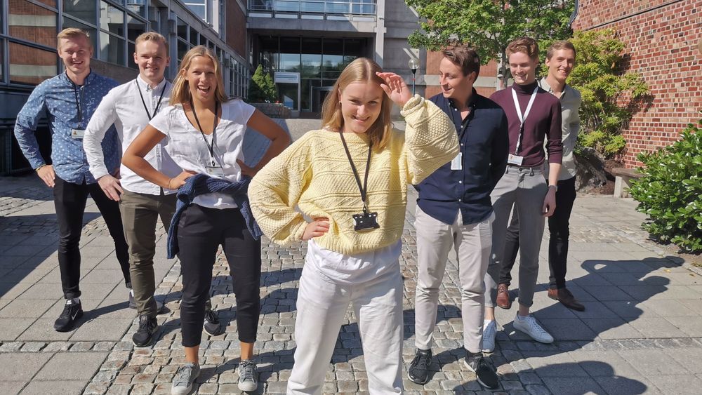 DNV GLs sommerstudenter. Foran I gult: Andrea Bratsberg. Andre rad venstre: Ingelin Herland. Andre rad høyre: August Dahl. Tredje rad venstre: Johann Wist. Tredje rad høyre: Morten Østigård. Fjerde rad venstre: Vetle Kjærstad. Fjerde rad høyre: Fredrik Kittelsen. Ikke tilstede: Amalie Heiberg