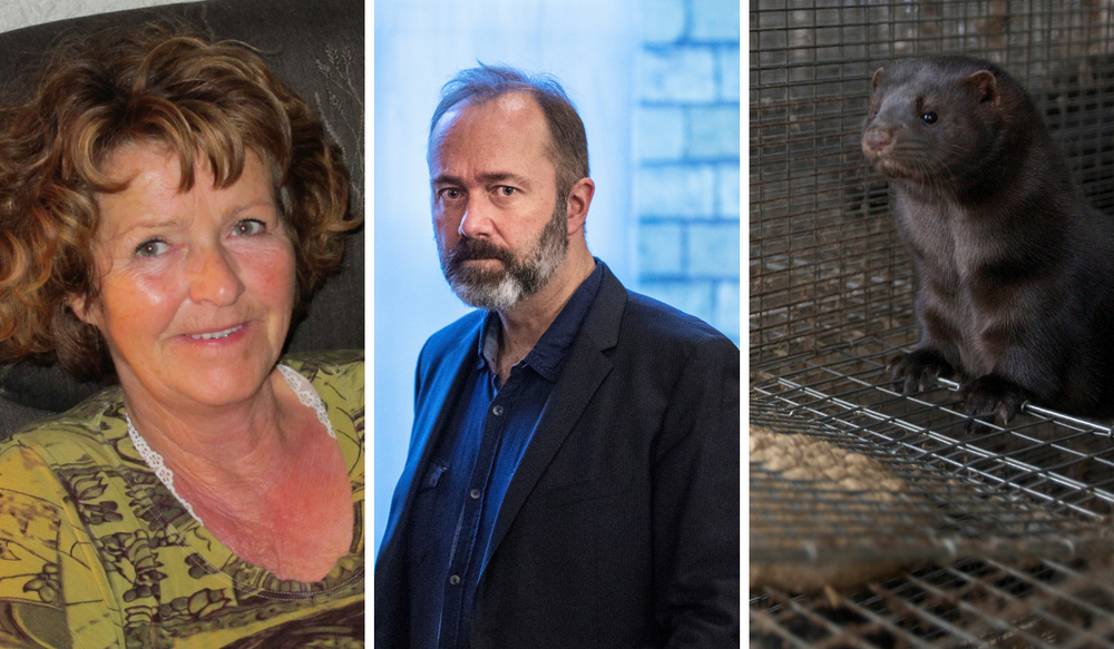 Disse tre bildene er alle på topp 12-lista over de mest nedlastede bildene fra NTB Scanpix hittil i 2019.