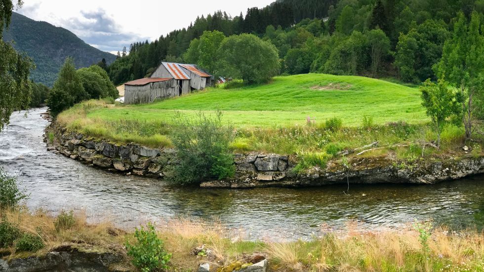 LIKE FØR: Til hausten startar gravemaskinene med å gjera grunnen klart for ein handelskpark på Skjeldestad i Sogndal.