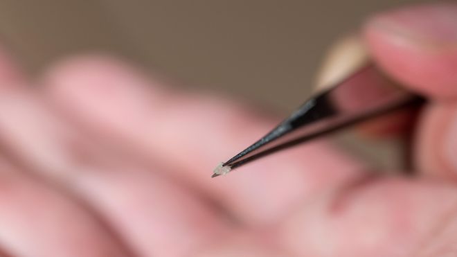 I fremtiden kan denne mikroroboten reparere skader på innsiden av kroppen din