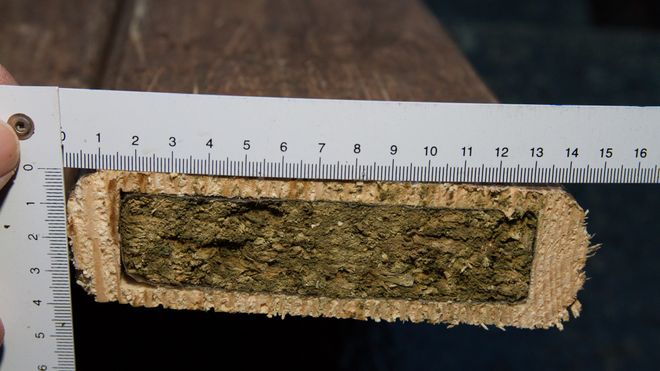 Politihunden Felix (4) markerte på en tilsynelatende vanlig plankehaug