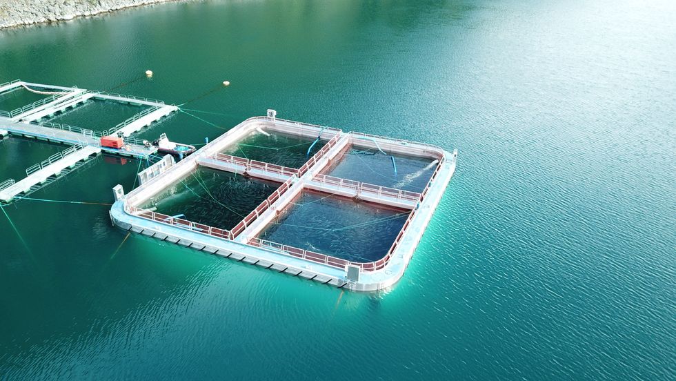 OPTIAMALT FOR FISK: – Me har lyst til å prøve dette for å sjå om me kan få ein betre forutsigbar produksjon til både mindre og større fisk, seier Geir Helge Østerbø i Osland Havbruk.