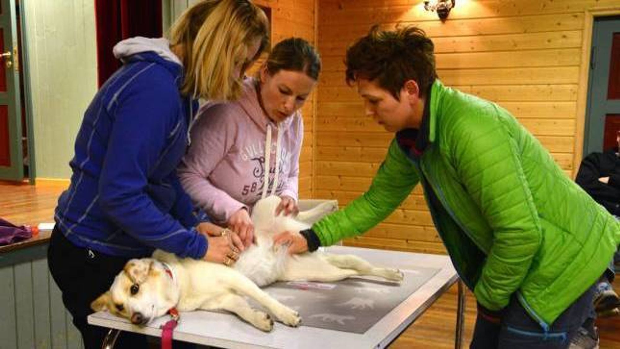 BER FOLK HALDE ROEN: Veterinær Liv Romøren, her frå eit helsekurs om hund, ber folk ta forholdsreglar, men òg halde roen og ikkje få panikk.