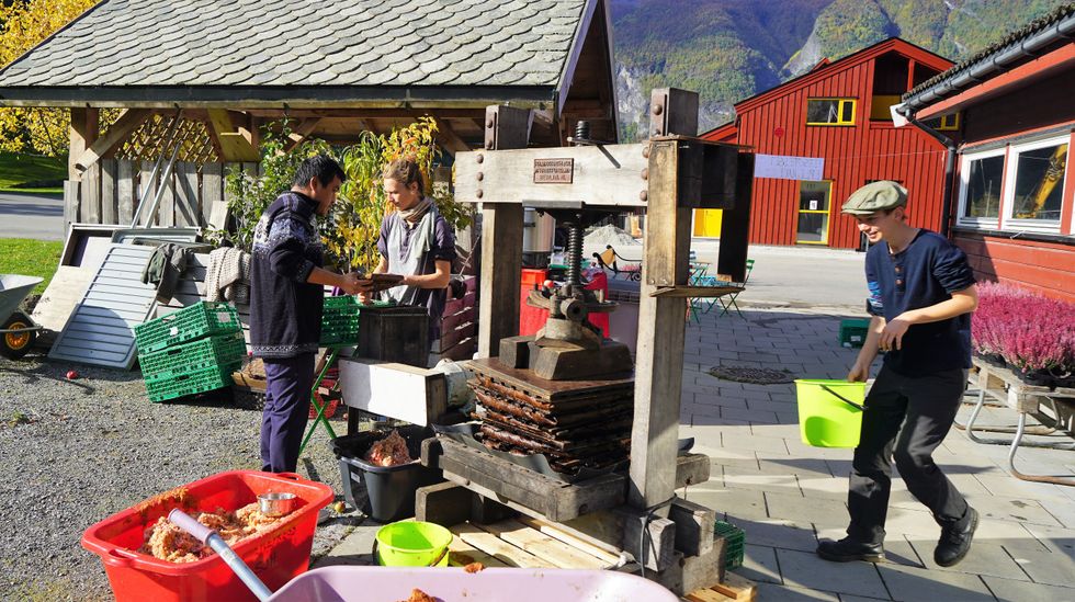 MOS: Her fekk tilskodarane sjå korleis ein foredlar epla i ei eplepresse.
