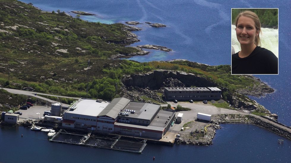 Firda Seafood Group har utvida områder, og vil no søke om å få lov til å gro tang og tare.