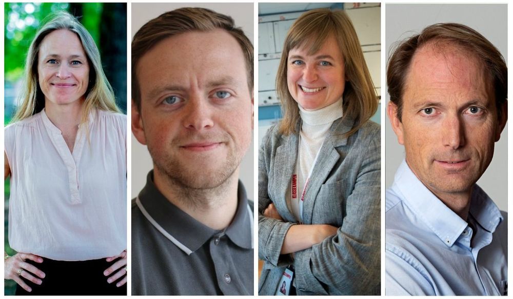 Irene Halvorsen (fra venstre), Truls Sylvarnes, Mari Skurdal og Steinar Grini leder alle en papiravis som opplever vekst.